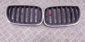 Решетка радиатора BMW X5-series (E53) 51 13 7 113 734 Решетка радиатора BMW X5-series (E53) 51 13 7 113 734