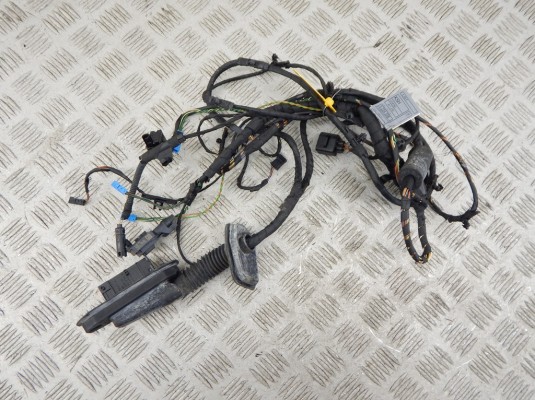 Проводка двери передней левой BMW 7-series (F01/02) 9234338 Проводка двери передней левой BMW 7-series (F01/02) 9234338