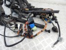 Проводка двигателя BMW X5-series (E53) 12 51 7 531 986