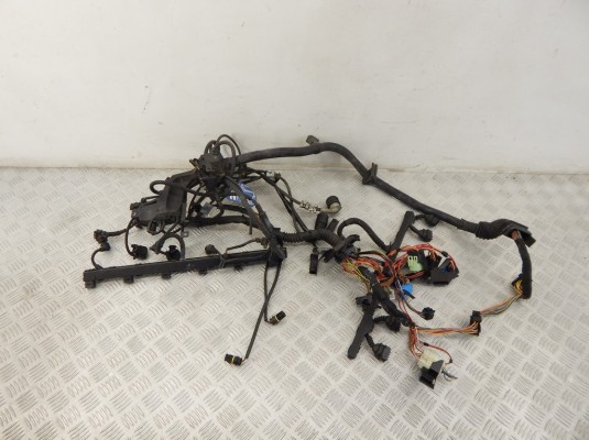 Проводка двигателя BMW 5-series (E39) 12 51 1 439 183