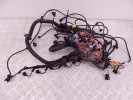 Проводка двигателя BMW 5-series (E39) 12 51 2 249 419