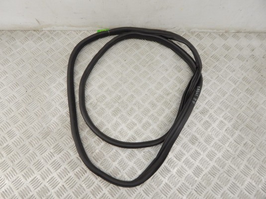 Уплотнитель двери передней правой BMW X6-series (E71) 7234932