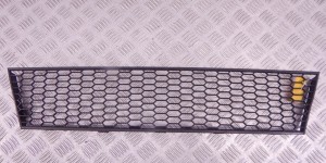 Заглушка (решетка) в бампер передний BMW 7-series (F01/02) 51 11 7 898 167 Заглушка (решетка) в бампер передний BMW 7-series (F01/02) 51 11 7 898 167