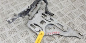 Петля капота правая BMW X5-series (E70) 7148348