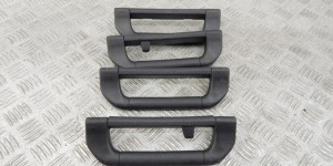 Ручка внутренняя потолочная BMW X5-series (E53) 51 16 8 258 064