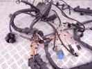 Проводка двигателя BMW X5-series (E70) 12 51 7 566 466