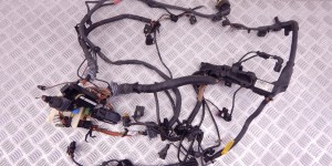 Проводка двигателя BMW 3-series (F30/31) 12 51 8 507 896 Проводка двигателя BMW 3-series (F30/31) 12 51 8 507 896