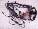 Проводка двигателя BMW 5-series (E39) 12 51 2 249 419
