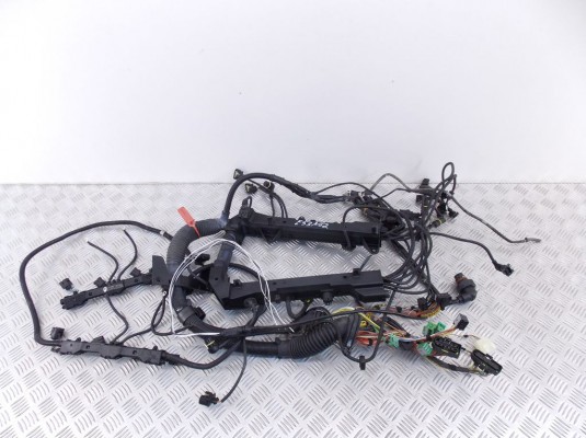 Проводка двигателя BMW X5-series (E53) 12 51 7 540 449