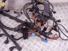 Проводка двигателя BMW 5-series (E39) 12 51 7 503 594