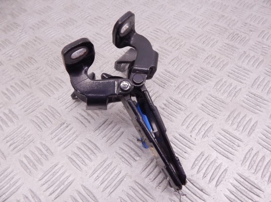 Петля крышки багажника BMW X5-series (E70) 41 62 7 170 921