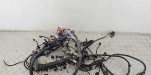 Проводка двигателя BMW 7-series (F01/02) 12 51 7 582 696 Проводка двигателя BMW 7-series (F01/02) 12 51 7 582 696