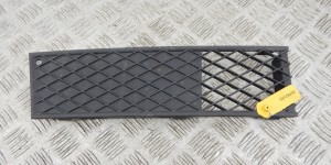 Заглушка (решетка) в бампер передний BMW 7-series (F01/02) 51 11 7 186 506 Заглушка (решетка) в бампер передний BMW 7-series (F01/02) 51 11 7 186 506