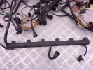 Проводка двигателя BMW 3-series (E46) 12 51 1 437 287