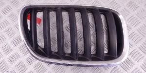 Решетка радиатора BMW X5-series (E53) 51 13 7 113 734