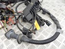 Проводка двигателя BMW 5-series (E60/61) 12 53 7 529 723