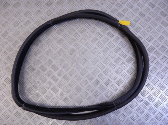 Уплотнитель BMW X5-series (E53) 51 72 7 025 580