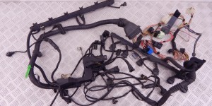 Проводка двигателя BMW 5-series (E39) 12 51 7 503 791