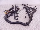 Проводка двигателя BMW 5-series (E39) 12 51 1 433 363