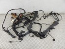 Проводка двигателя BMW X5-series (E53) 12 51 7 540 449