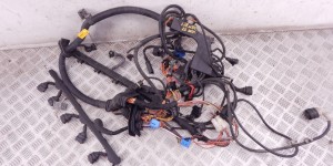Проводка двигателя BMW 5-series (E39) 12 51 7 503 594