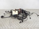 Проводка двигателя BMW 5-series (E60/61) 12 53 7 529 723