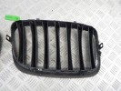 Решетка радиатора BMW X5-series (E70)