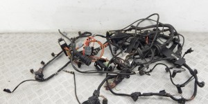 Проводка двигателя BMW 7-series (E65/66) 12 51 7 794 185