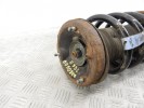 Стойка передняя левая BMW X5-series (E53) 31 31 6 764 601