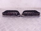 Решетка радиатора BMW X5-series (E53)