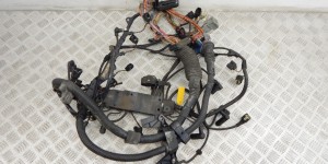 Проводка двигателя BMW X5-series (E53) 12 51 7 800 942 Проводка двигателя BMW X5-series (E53) 12 51 7 800 942