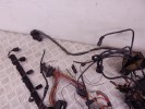 Проводка двигателя BMW X5-series (E70) 12 51 7 803 681