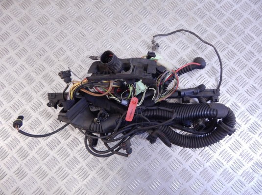Проводка двигателя BMW 5-series (E39) 12 51 1 433 358