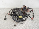 Проводка двигателя BMW 1-series (E87) 12 51 7 796 828