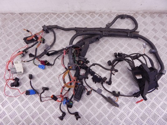 Проводка двигателя BMW 1-series (E87) 12 51 7 545 182
