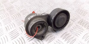 Натяжитель ремня компрессора кондиционера BMW X5-series (E53) 7505566