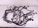 Проводка двигателя BMW 7-series (F01/02) 12 51 7 811 980