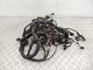 Проводка двигателя BMW 5-series (E39) 12 51 7 503 591
