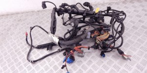 Проводка двигателя BMW 3-series (E90/91/92) 12 51 7 796 079