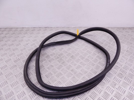 Уплотнитель BMW X5-series (E53) 51 72 7 025 580