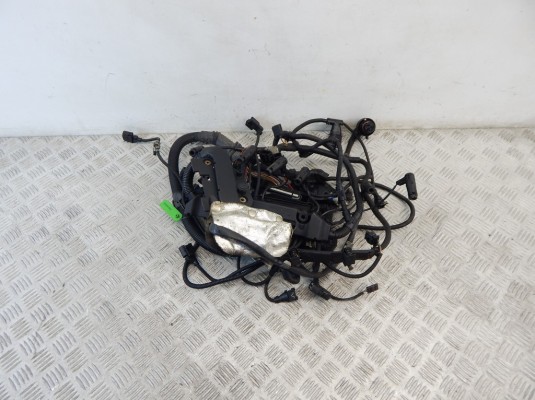 Проводка двигателя BMW X5-series (E70) 12 51 7 799 662