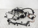 Проводка двигателя BMW X5-series (E70) 12 51 7 803 681