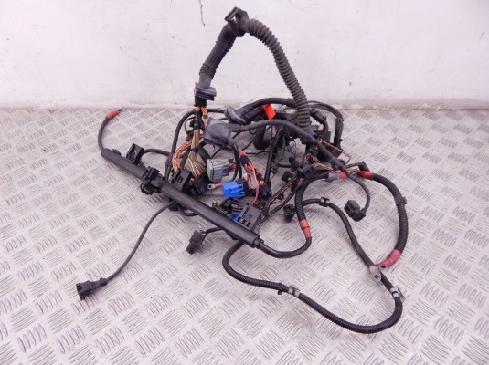 Проводка двигателя BMW 1-series (E87) 12 51 7 796 828 Проводка двигателя BMW 1-series (E87) 12 51 7 796 828