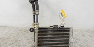 Радиатор масляный BMW X3-series (E83) 17 21 3 448 627