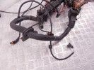 Проводка двигателя BMW 5-series (E39) 12 51 2 249 419