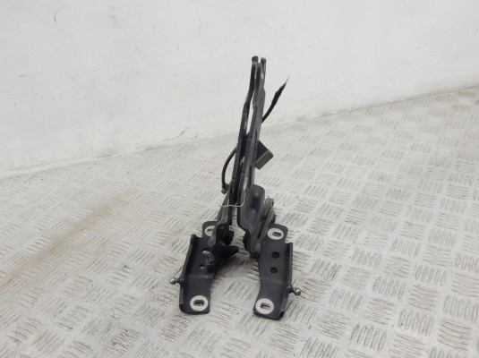 Петля капота BMW X5-series (E70) 41 00 7 198 618