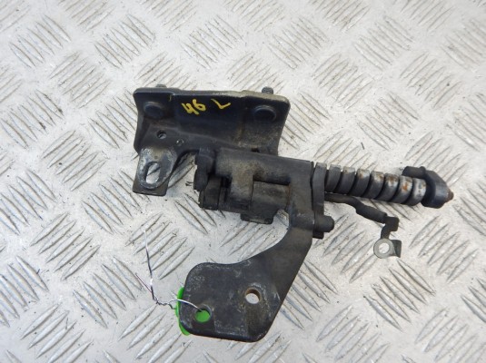 Петля крышки багажника BMW 3-series (E46) 51 24 8 254 015