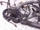 Проводка двигателя BMW 7-series (F01/02) 12 51 7 614 896