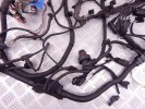 Проводка двигателя BMW 7-series (F01/02) 12 51 7 811 980