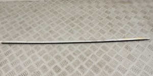 Молдинг стекла двери передней левой наружный BMW 7-series (E65/66) Молдинг стекла двери передней левой наружный BMW 7-series (E65/66)